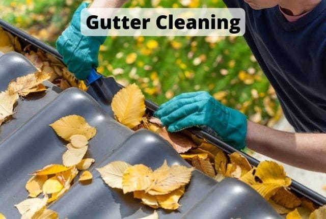 Gutters Cleaning