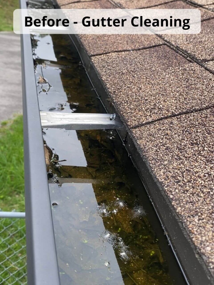 Before Gutter Cleaning