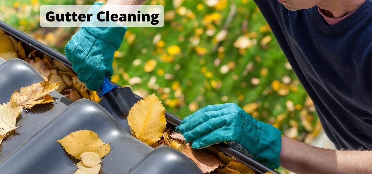 Gutter Cleaning